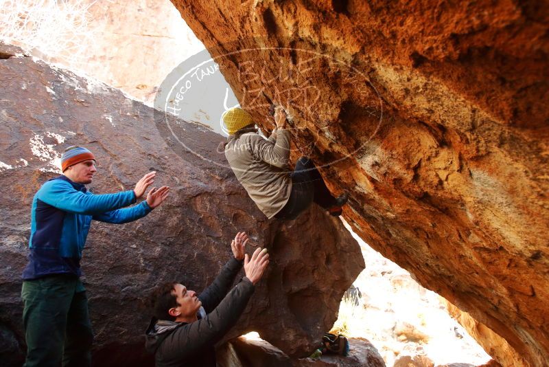 Bouldering in Hueco Tanks on 01/03/2020 with Blue Lizard Climbing and Yoga

Filename: SRM_20200103_1553390.jpg
Aperture: f/3.5
Shutter Speed: 1/250
Body: Canon EOS-1D Mark II
Lens: Canon EF 16-35mm f/2.8 L