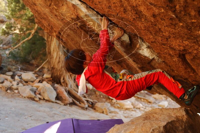 Bouldering in Hueco Tanks on 01/03/2020 with Blue Lizard Climbing and Yoga

Filename: SRM_20200103_1728560.jpg
Aperture: f/3.5
Shutter Speed: 1/320
Body: Canon EOS-1D Mark II
Lens: Canon EF 50mm f/1.8 II