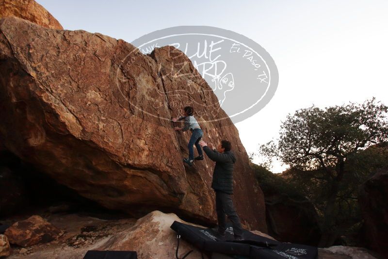 Bouldering in Hueco Tanks on 01/03/2020 with Blue Lizard Climbing and Yoga

Filename: SRM_20200103_1829230.jpg
Aperture: f/3.5
Shutter Speed: 1/125
Body: Canon EOS-1D Mark II
Lens: Canon EF 16-35mm f/2.8 L