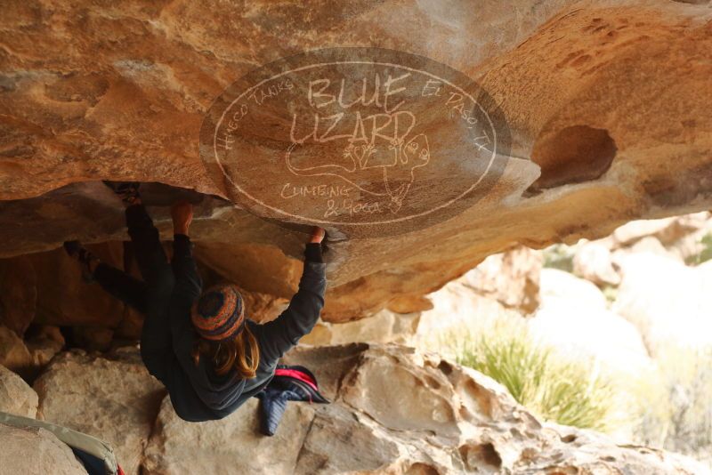 Bouldering in Hueco Tanks on 01/02/2020 with Blue Lizard Climbing and Yoga

Filename: SRM_20200102_1120440.jpg
Aperture: f/3.2
Shutter Speed: 1/250
Body: Canon EOS-1D Mark II
Lens: Canon EF 50mm f/1.8 II