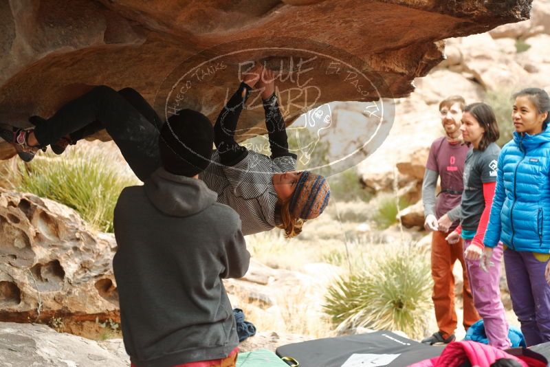 Bouldering in Hueco Tanks on 01/02/2020 with Blue Lizard Climbing and Yoga

Filename: SRM_20200102_1145510.jpg
Aperture: f/3.2
Shutter Speed: 1/250
Body: Canon EOS-1D Mark II
Lens: Canon EF 50mm f/1.8 II