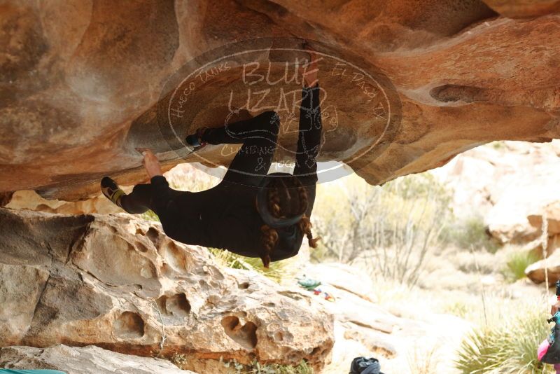 Bouldering in Hueco Tanks on 01/02/2020 with Blue Lizard Climbing and Yoga

Filename: SRM_20200102_1151080.jpg
Aperture: f/3.2
Shutter Speed: 1/250
Body: Canon EOS-1D Mark II
Lens: Canon EF 50mm f/1.8 II