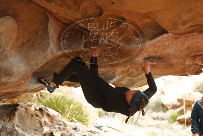 Bouldering in Hueco Tanks on 01/02/2020 with Blue Lizard Climbing and Yoga

Filename: SRM_20200102_1151160.jpg
Aperture: f/3.2
Shutter Speed: 1/250
Body: Canon EOS-1D Mark II
Lens: Canon EF 50mm f/1.8 II