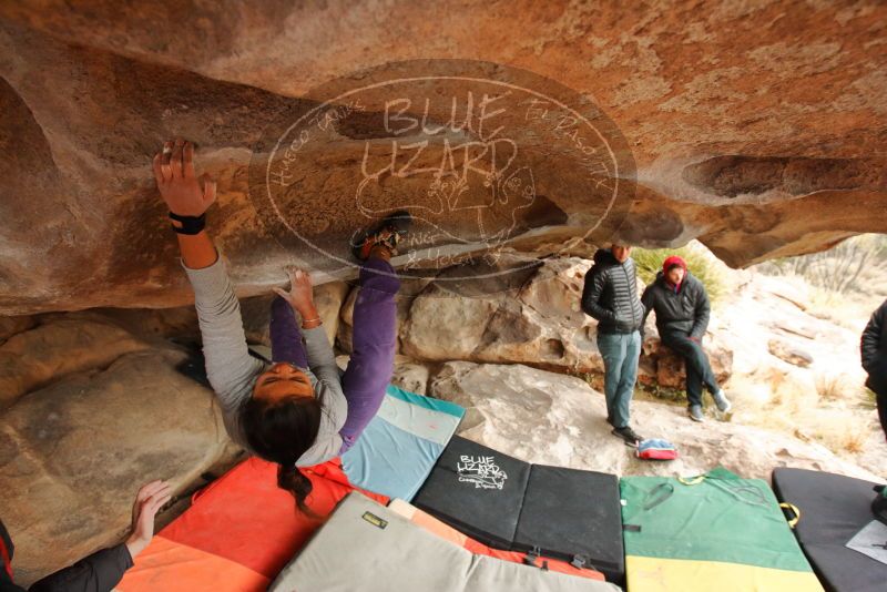 Bouldering in Hueco Tanks on 01/02/2020 with Blue Lizard Climbing and Yoga

Filename: SRM_20200102_1233170.jpg
Aperture: f/4.5
Shutter Speed: 1/250
Body: Canon EOS-1D Mark II
Lens: Canon EF 16-35mm f/2.8 L