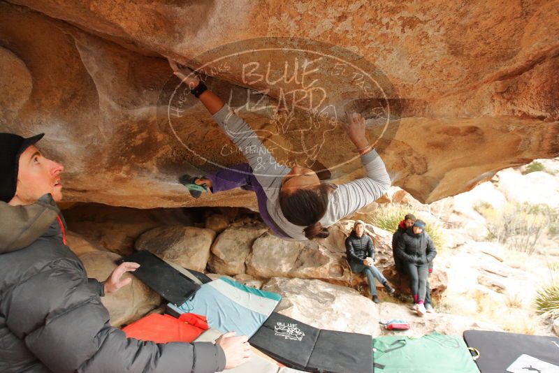 Bouldering in Hueco Tanks on 01/02/2020 with Blue Lizard Climbing and Yoga

Filename: SRM_20200102_1239530.jpg
Aperture: f/4.5
Shutter Speed: 1/250
Body: Canon EOS-1D Mark II
Lens: Canon EF 16-35mm f/2.8 L