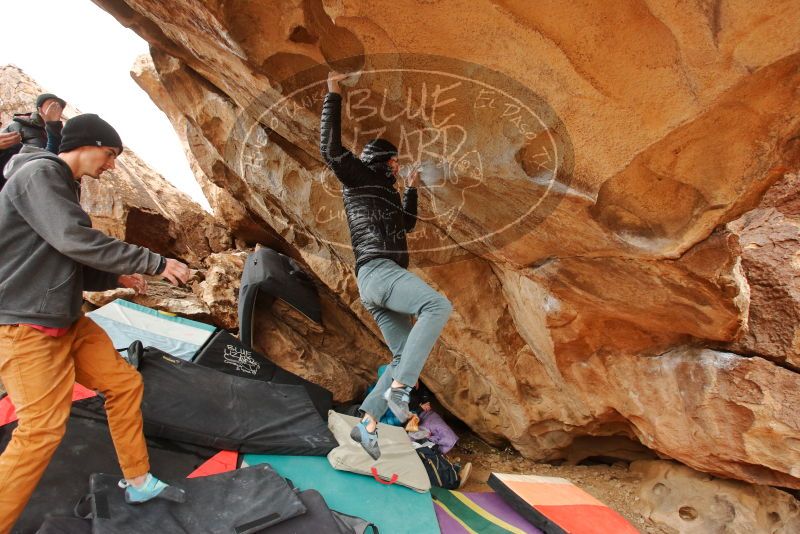 Bouldering in Hueco Tanks on 01/02/2020 with Blue Lizard Climbing and Yoga

Filename: SRM_20200102_1324280.jpg
Aperture: f/4.5
Shutter Speed: 1/250
Body: Canon EOS-1D Mark II
Lens: Canon EF 16-35mm f/2.8 L