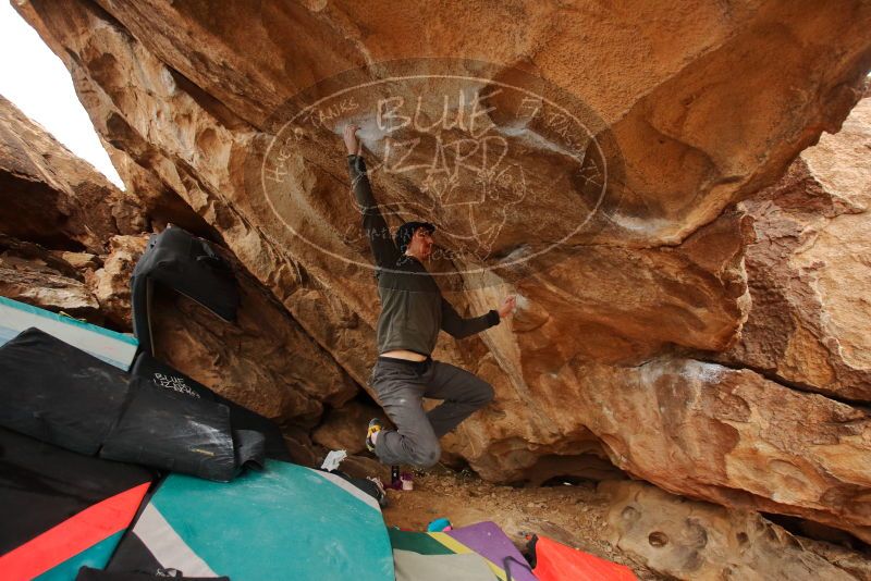 Bouldering in Hueco Tanks on 01/02/2020 with Blue Lizard Climbing and Yoga

Filename: SRM_20200102_1342190.jpg
Aperture: f/4.0
Shutter Speed: 1/250
Body: Canon EOS-1D Mark II
Lens: Canon EF 16-35mm f/2.8 L