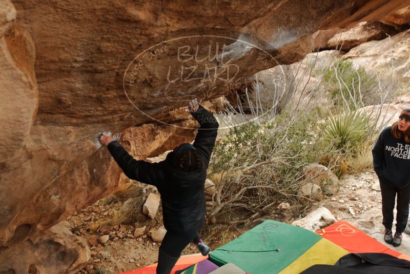 Bouldering in Hueco Tanks on 01/02/2020 with Blue Lizard Climbing and Yoga

Filename: SRM_20200102_1343251.jpg
Aperture: f/5.0
Shutter Speed: 1/250
Body: Canon EOS-1D Mark II
Lens: Canon EF 16-35mm f/2.8 L