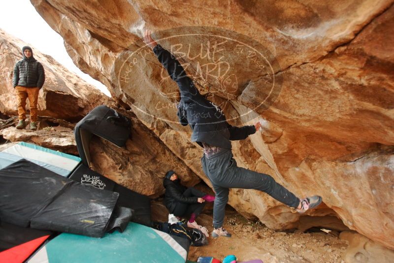 Bouldering in Hueco Tanks on 01/02/2020 with Blue Lizard Climbing and Yoga

Filename: SRM_20200102_1344041.jpg
Aperture: f/2.8
Shutter Speed: 1/250
Body: Canon EOS-1D Mark II
Lens: Canon EF 16-35mm f/2.8 L