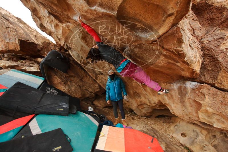 Bouldering in Hueco Tanks on 01/02/2020 with Blue Lizard Climbing and Yoga

Filename: SRM_20200102_1345550.jpg
Aperture: f/3.5
Shutter Speed: 1/250
Body: Canon EOS-1D Mark II
Lens: Canon EF 16-35mm f/2.8 L