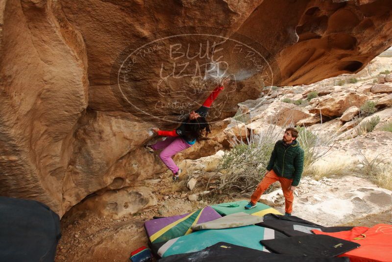 Bouldering in Hueco Tanks on 01/02/2020 with Blue Lizard Climbing and Yoga

Filename: SRM_20200102_1349450.jpg
Aperture: f/6.3
Shutter Speed: 1/200
Body: Canon EOS-1D Mark II
Lens: Canon EF 16-35mm f/2.8 L