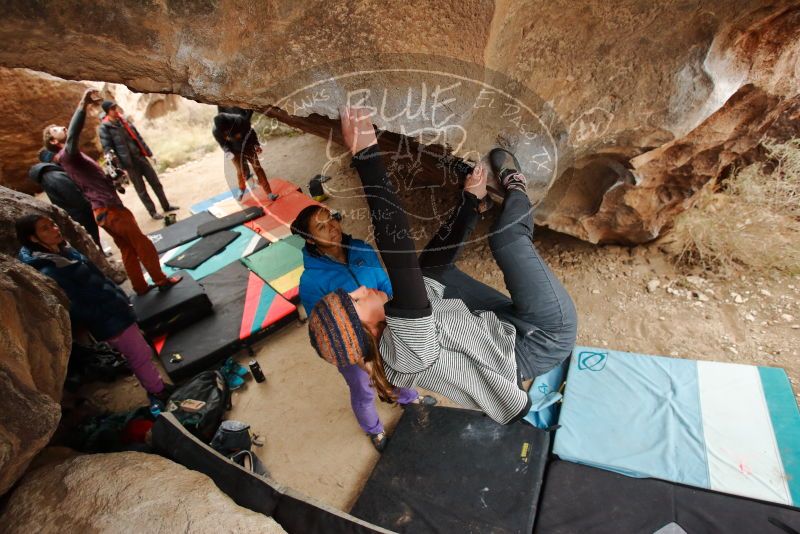 Bouldering in Hueco Tanks on 01/02/2020 with Blue Lizard Climbing and Yoga

Filename: SRM_20200102_1441150.jpg
Aperture: f/4.0
Shutter Speed: 1/250
Body: Canon EOS-1D Mark II
Lens: Canon EF 16-35mm f/2.8 L