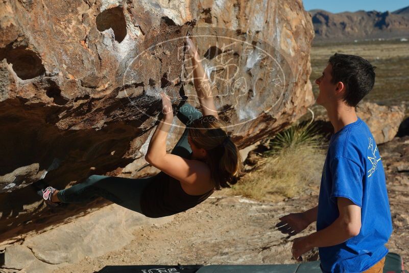 Bouldering in Hueco Tanks on 01/05/2020 with Blue Lizard Climbing and Yoga

Filename: SRM_20200105_1103450.jpg
Aperture: f/5.6
Shutter Speed: 1/400
Body: Canon EOS-1D Mark II
Lens: Canon EF 50mm f/1.8 II