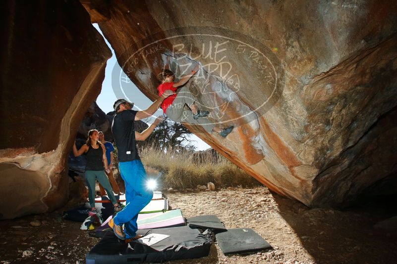 Bouldering in Hueco Tanks on 01/05/2020 with Blue Lizard Climbing and Yoga

Filename: SRM_20200105_1159400.jpg
Aperture: f/8.0
Shutter Speed: 1/250
Body: Canon EOS-1D Mark II
Lens: Canon EF 16-35mm f/2.8 L