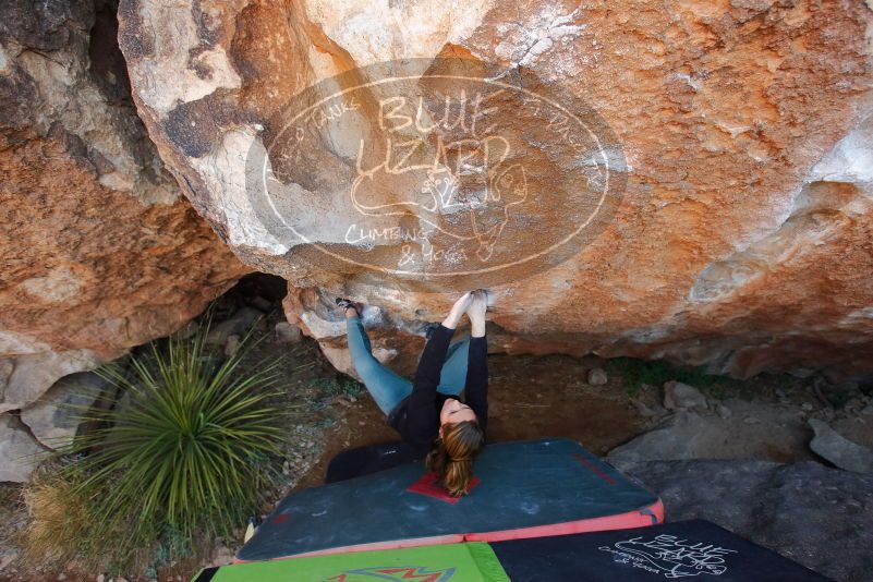 Bouldering in Hueco Tanks on 01/05/2020 with Blue Lizard Climbing and Yoga

Filename: SRM_20200105_1311080.jpg
Aperture: f/4.0
Shutter Speed: 1/250
Body: Canon EOS-1D Mark II
Lens: Canon EF 16-35mm f/2.8 L