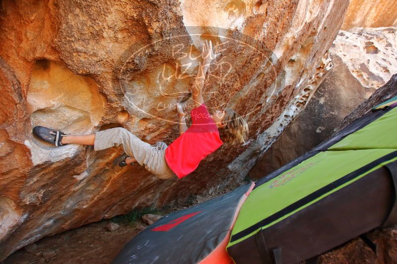 Bouldering in Hueco Tanks on 01/05/2020 with Blue Lizard Climbing and Yoga

Filename: SRM_20200105_1323550.jpg
Aperture: f/4.0
Shutter Speed: 1/250
Body: Canon EOS-1D Mark II
Lens: Canon EF 16-35mm f/2.8 L