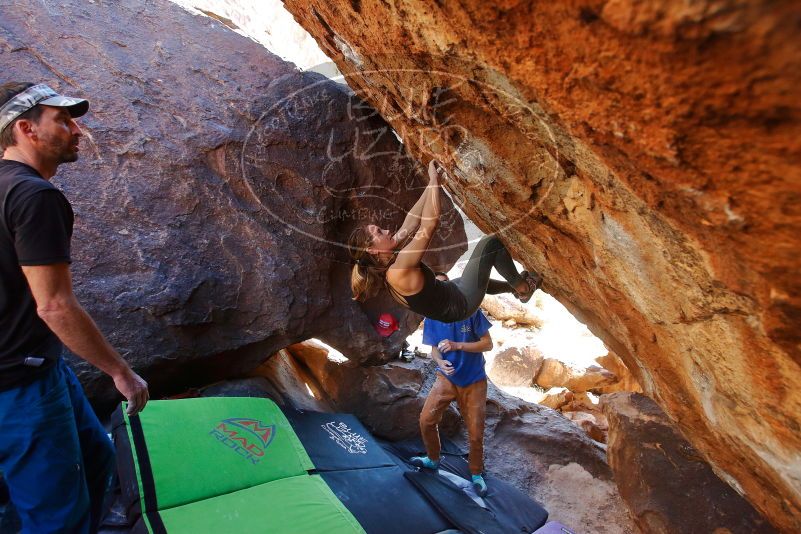 Bouldering in Hueco Tanks on 01/05/2020 with Blue Lizard Climbing and Yoga

Filename: SRM_20200105_1456490.jpg
Aperture: f/4.5
Shutter Speed: 1/250
Body: Canon EOS-1D Mark II
Lens: Canon EF 16-35mm f/2.8 L