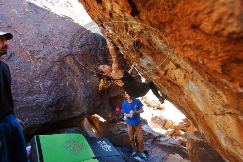 Bouldering in Hueco Tanks on 01/05/2020 with Blue Lizard Climbing and Yoga

Filename: SRM_20200105_1456500.jpg
Aperture: f/4.5
Shutter Speed: 1/250
Body: Canon EOS-1D Mark II
Lens: Canon EF 16-35mm f/2.8 L