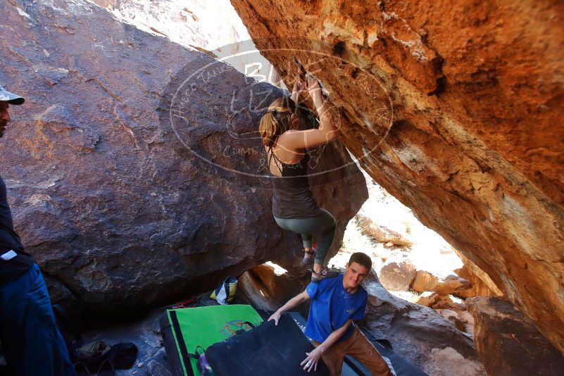 Bouldering in Hueco Tanks on 01/05/2020 with Blue Lizard Climbing and Yoga

Filename: SRM_20200105_1501580.jpg
Aperture: f/5.0
Shutter Speed: 1/250
Body: Canon EOS-1D Mark II
Lens: Canon EF 16-35mm f/2.8 L