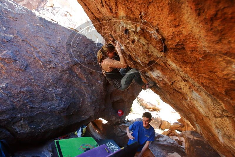 Bouldering in Hueco Tanks on 01/05/2020 with Blue Lizard Climbing and Yoga

Filename: SRM_20200105_1502000.jpg
Aperture: f/5.0
Shutter Speed: 1/250
Body: Canon EOS-1D Mark II
Lens: Canon EF 16-35mm f/2.8 L