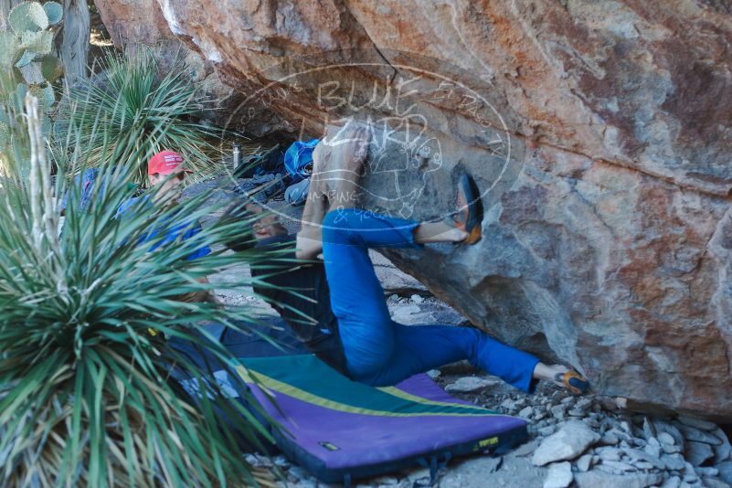 Bouldering in Hueco Tanks on 01/05/2020 with Blue Lizard Climbing and Yoga

Filename: SRM_20200105_1622010.jpg
Aperture: f/3.2
Shutter Speed: 1/250
Body: Canon EOS-1D Mark II
Lens: Canon EF 50mm f/1.8 II