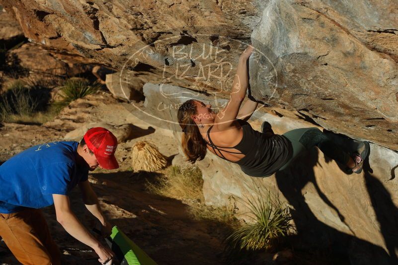 Bouldering in Hueco Tanks on 01/05/2020 with Blue Lizard Climbing and Yoga

Filename: SRM_20200105_1704360.jpg
Aperture: f/5.0
Shutter Speed: 1/640
Body: Canon EOS-1D Mark II
Lens: Canon EF 50mm f/1.8 II