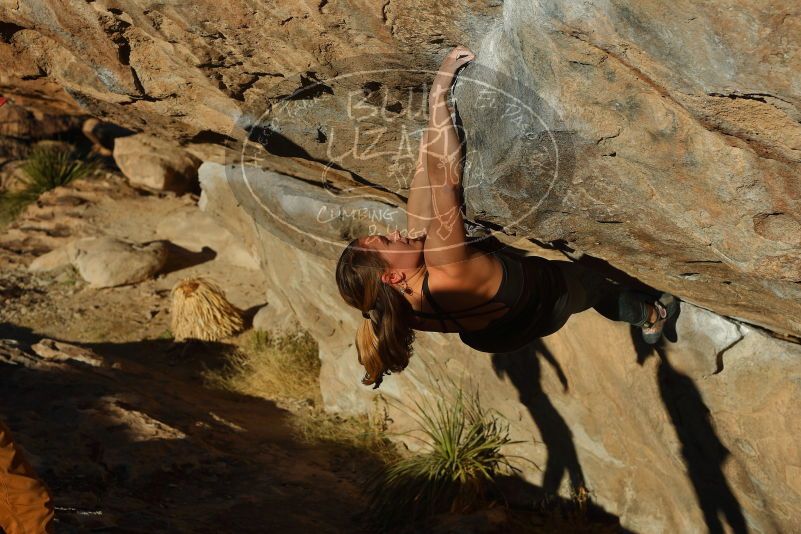 Bouldering in Hueco Tanks on 01/05/2020 with Blue Lizard Climbing and Yoga

Filename: SRM_20200105_1704420.jpg
Aperture: f/5.0
Shutter Speed: 1/640
Body: Canon EOS-1D Mark II
Lens: Canon EF 50mm f/1.8 II