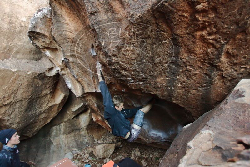 Bouldering in Hueco Tanks on 01/04/2020 with Blue Lizard Climbing and Yoga

Filename: SRM_20200104_1618030.jpg
Aperture: f/3.2
Shutter Speed: 1/250
Body: Canon EOS-1D Mark II
Lens: Canon EF 16-35mm f/2.8 L