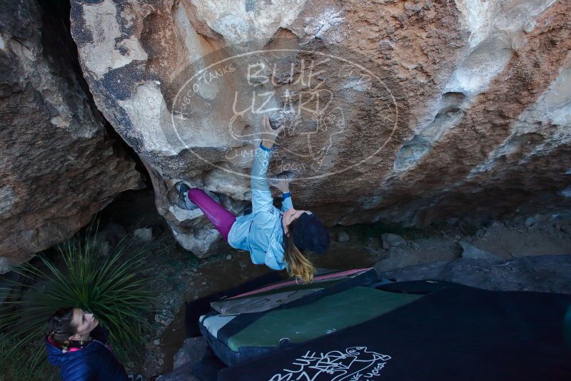 Bouldering in Hueco Tanks on 01/08/2020 with Blue Lizard Climbing and Yoga

Filename: SRM_20200108_1043440.jpg
Aperture: f/5.0
Shutter Speed: 1/250
Body: Canon EOS-1D Mark II
Lens: Canon EF 16-35mm f/2.8 L