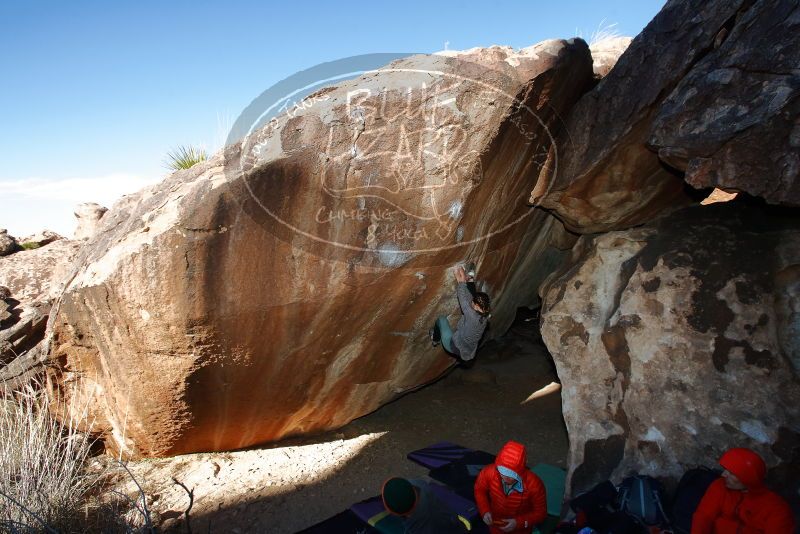 Bouldering in Hueco Tanks on 01/08/2020 with Blue Lizard Climbing and Yoga

Filename: SRM_20200108_1146070.jpg
Aperture: f/5.6
Shutter Speed: 1/250
Body: Canon EOS-1D Mark II
Lens: Canon EF 16-35mm f/2.8 L