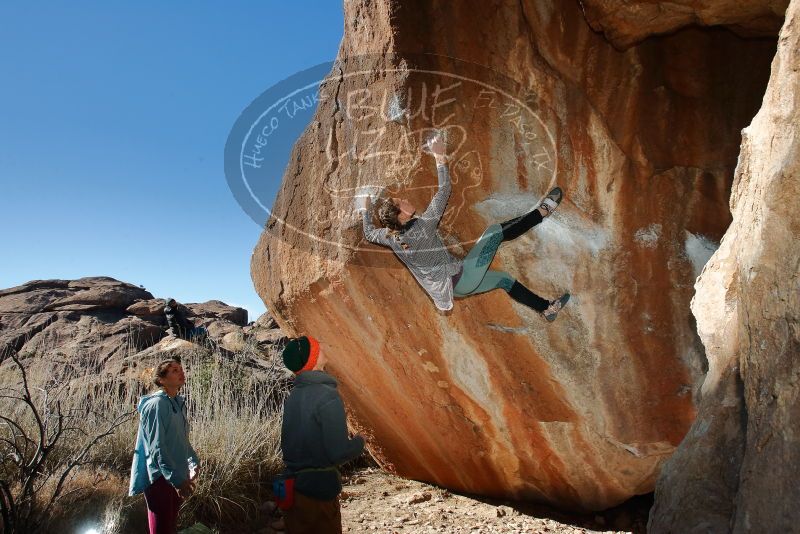 Bouldering in Hueco Tanks on 01/08/2020 with Blue Lizard Climbing and Yoga

Filename: SRM_20200108_1156250.jpg
Aperture: f/8.0
Shutter Speed: 1/250
Body: Canon EOS-1D Mark II
Lens: Canon EF 16-35mm f/2.8 L