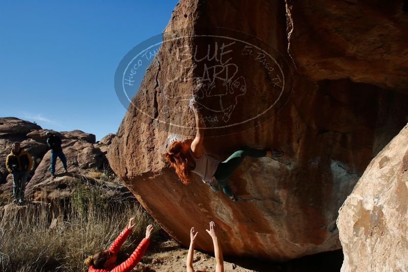 Bouldering in Hueco Tanks on 01/08/2020 with Blue Lizard Climbing and Yoga

Filename: SRM_20200108_1207330.jpg
Aperture: f/8.0
Shutter Speed: 1/250
Body: Canon EOS-1D Mark II
Lens: Canon EF 16-35mm f/2.8 L