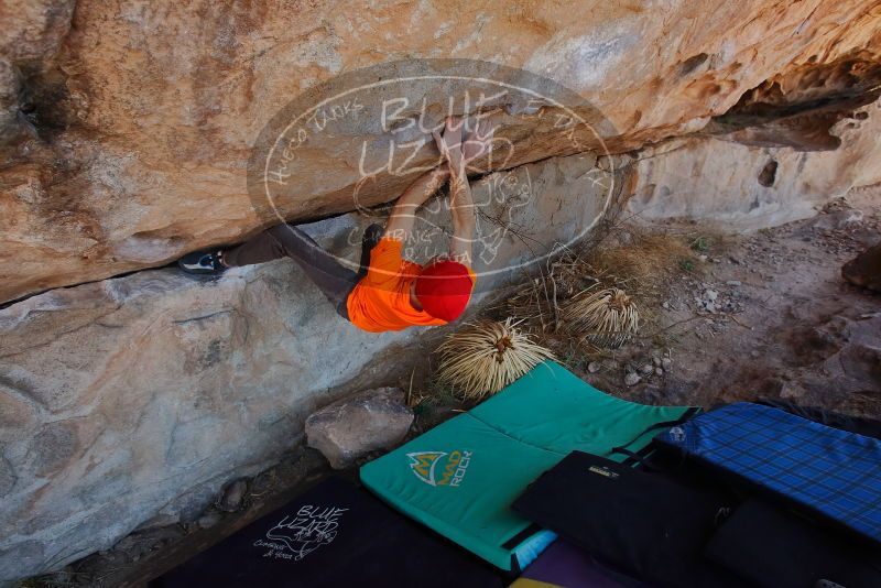 Bouldering in Hueco Tanks on 01/08/2020 with Blue Lizard Climbing and Yoga

Filename: SRM_20200108_1251460.jpg
Aperture: f/5.6
Shutter Speed: 1/250
Body: Canon EOS-1D Mark II
Lens: Canon EF 16-35mm f/2.8 L