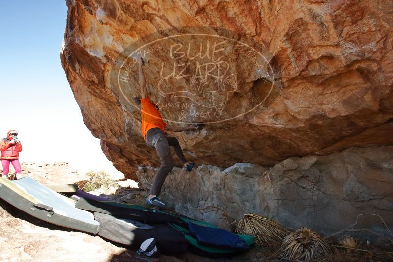 Bouldering in Hueco Tanks on 01/08/2020 with Blue Lizard Climbing and Yoga

Filename: SRM_20200108_1304061.jpg
Aperture: f/7.1
Shutter Speed: 1/500
Body: Canon EOS-1D Mark II
Lens: Canon EF 16-35mm f/2.8 L