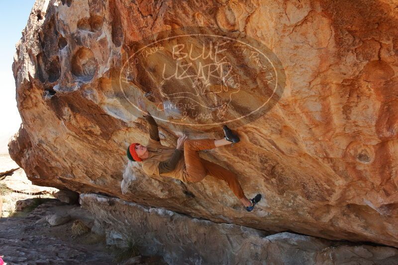 Bouldering in Hueco Tanks on 01/08/2020 with Blue Lizard Climbing and Yoga

Filename: SRM_20200108_1308060.jpg
Aperture: f/8.0
Shutter Speed: 1/500
Body: Canon EOS-1D Mark II
Lens: Canon EF 16-35mm f/2.8 L