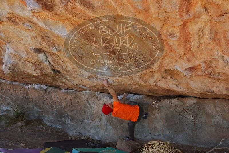 Bouldering in Hueco Tanks on 01/08/2020 with Blue Lizard Climbing and Yoga

Filename: SRM_20200108_1316020.jpg
Aperture: f/7.1
Shutter Speed: 1/500
Body: Canon EOS-1D Mark II
Lens: Canon EF 16-35mm f/2.8 L