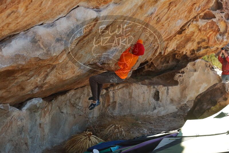 Bouldering in Hueco Tanks on 01/08/2020 with Blue Lizard Climbing and Yoga

Filename: SRM_20200108_1321351.jpg
Aperture: f/7.1
Shutter Speed: 1/500
Body: Canon EOS-1D Mark II
Lens: Canon EF 50mm f/1.8 II