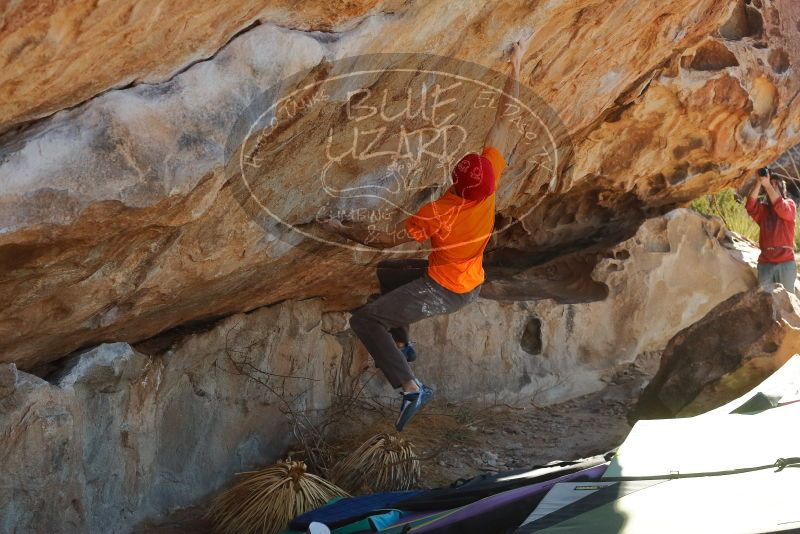 Bouldering in Hueco Tanks on 01/08/2020 with Blue Lizard Climbing and Yoga

Filename: SRM_20200108_1321360.jpg
Aperture: f/7.1
Shutter Speed: 1/500
Body: Canon EOS-1D Mark II
Lens: Canon EF 50mm f/1.8 II