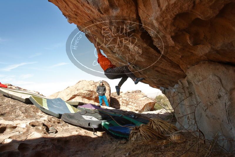 Bouldering in Hueco Tanks on 01/08/2020 with Blue Lizard Climbing and Yoga

Filename: SRM_20200108_1331491.jpg
Aperture: f/8.0
Shutter Speed: 1/500
Body: Canon EOS-1D Mark II
Lens: Canon EF 16-35mm f/2.8 L