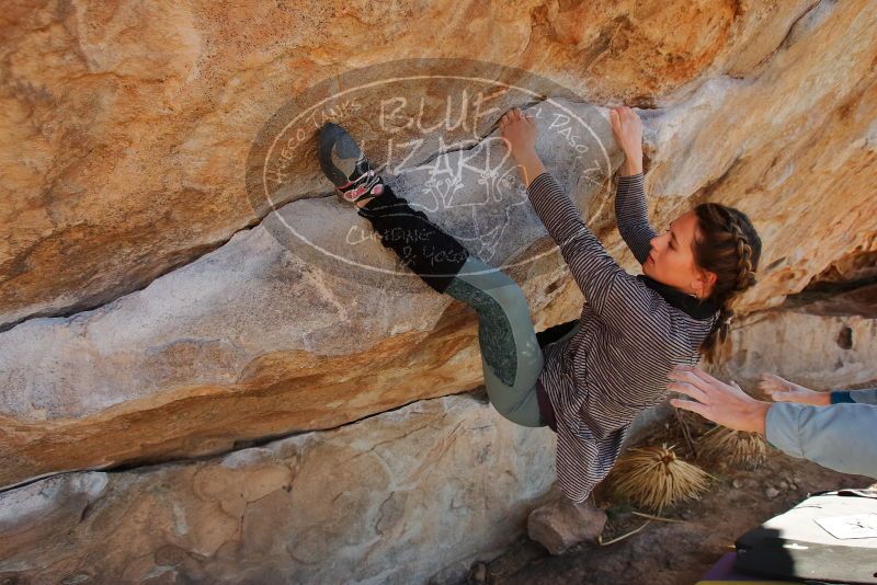 Bouldering in Hueco Tanks on 01/08/2020 with Blue Lizard Climbing and Yoga

Filename: SRM_20200108_1342541.jpg
Aperture: f/5.6
Shutter Speed: 1/400
Body: Canon EOS-1D Mark II
Lens: Canon EF 16-35mm f/2.8 L