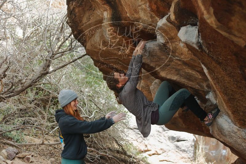 Bouldering in Hueco Tanks on 01/08/2020 with Blue Lizard Climbing and Yoga

Filename: SRM_20200108_1632180.jpg
Aperture: f/2.8
Shutter Speed: 1/250
Body: Canon EOS-1D Mark II
Lens: Canon EF 50mm f/1.8 II