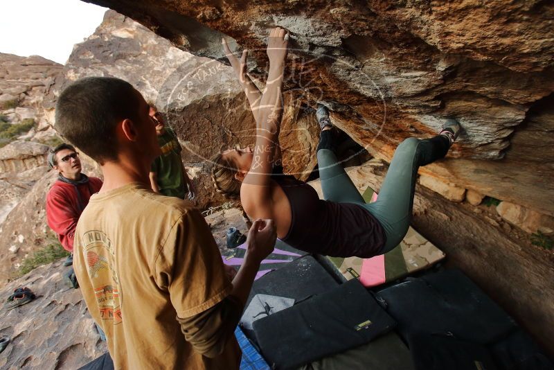 Bouldering in Hueco Tanks on 01/08/2020 with Blue Lizard Climbing and Yoga

Filename: SRM_20200108_1709190.jpg
Aperture: f/5.0
Shutter Speed: 1/500
Body: Canon EOS-1D Mark II
Lens: Canon EF 16-35mm f/2.8 L