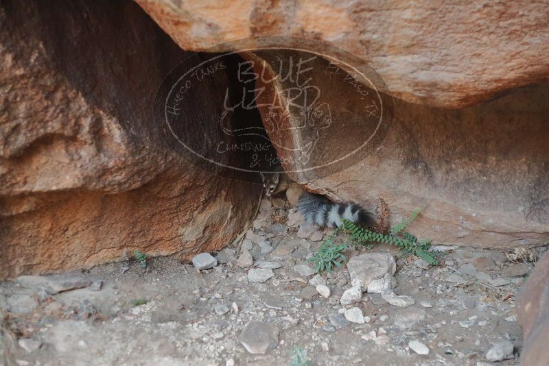 Bouldering in Hueco Tanks on 01/08/2020 with Blue Lizard Climbing and Yoga

Filename: SRM_20200108_1801060.jpg
Aperture: f/2.2
Shutter Speed: 1/100
Body: Canon EOS-1D Mark II
Lens: Canon EF 50mm f/1.8 II