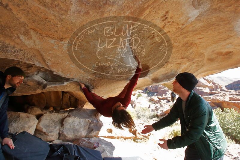 Bouldering in Hueco Tanks on 01/12/2020 with Blue Lizard Climbing and Yoga

Filename: SRM_20200112_1312590.jpg
Aperture: f/6.3
Shutter Speed: 1/250
Body: Canon EOS-1D Mark II
Lens: Canon EF 16-35mm f/2.8 L