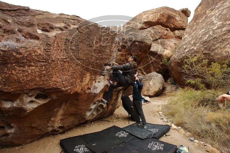 Bouldering in Hueco Tanks on 01/16/2020 with Blue Lizard Climbing and Yoga

Filename: SRM_20200116_1023270.jpg
Aperture: f/5.6
Shutter Speed: 1/320
Body: Canon EOS-1D Mark II
Lens: Canon EF 16-35mm f/2.8 L