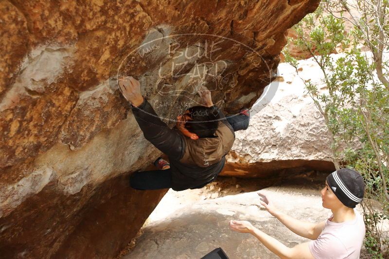 Bouldering in Hueco Tanks on 01/16/2020 with Blue Lizard Climbing and Yoga

Filename: SRM_20200116_1051360.jpg
Aperture: f/4.0
Shutter Speed: 1/250
Body: Canon EOS-1D Mark II
Lens: Canon EF 16-35mm f/2.8 L