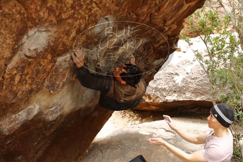 Bouldering in Hueco Tanks on 01/16/2020 with Blue Lizard Climbing and Yoga

Filename: SRM_20200116_1051400.jpg
Aperture: f/4.5
Shutter Speed: 1/250
Body: Canon EOS-1D Mark II
Lens: Canon EF 16-35mm f/2.8 L