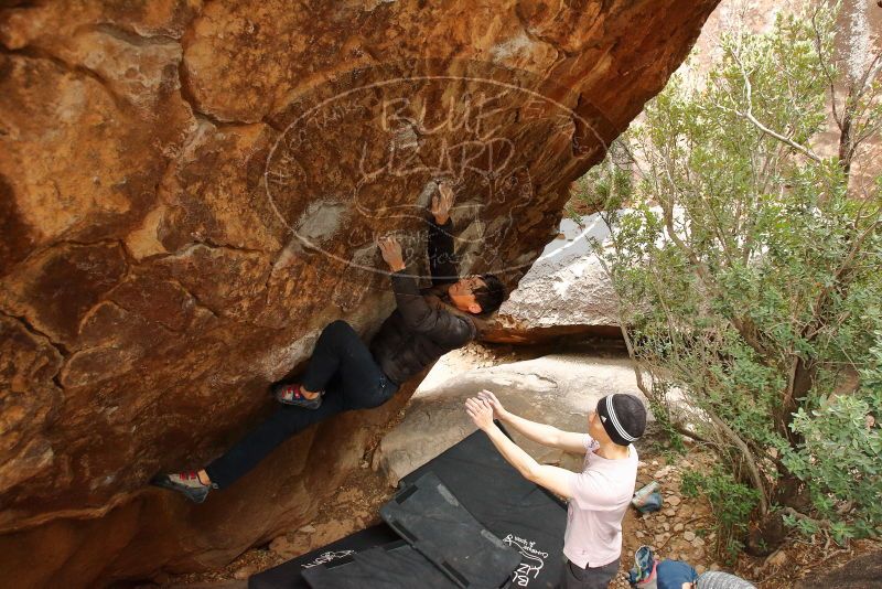 Bouldering in Hueco Tanks on 01/16/2020 with Blue Lizard Climbing and Yoga

Filename: SRM_20200116_1051550.jpg
Aperture: f/4.5
Shutter Speed: 1/250
Body: Canon EOS-1D Mark II
Lens: Canon EF 16-35mm f/2.8 L