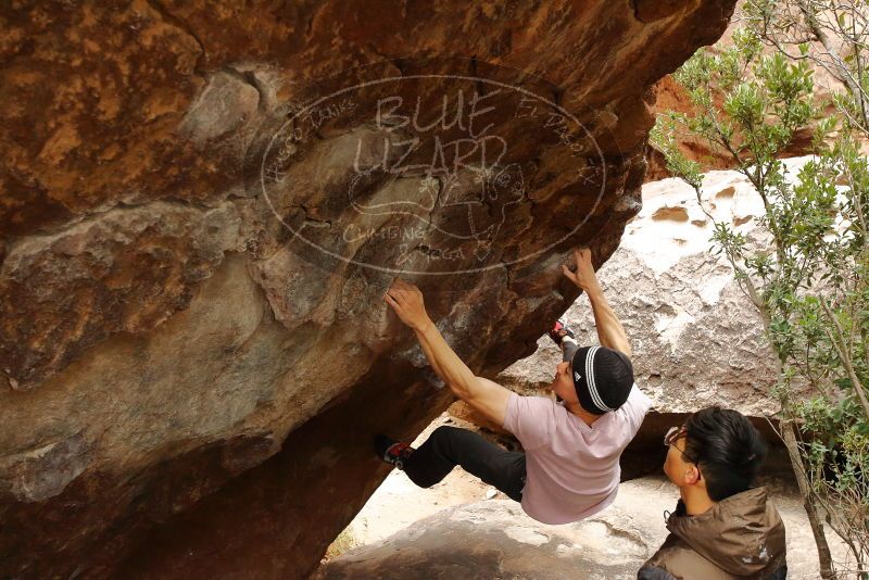 Bouldering in Hueco Tanks on 01/16/2020 with Blue Lizard Climbing and Yoga

Filename: SRM_20200116_1054530.jpg
Aperture: f/5.0
Shutter Speed: 1/250
Body: Canon EOS-1D Mark II
Lens: Canon EF 16-35mm f/2.8 L