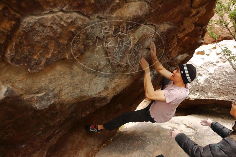 Bouldering in Hueco Tanks on 01/16/2020 with Blue Lizard Climbing and Yoga

Filename: SRM_20200116_1057271.jpg
Aperture: f/4.5
Shutter Speed: 1/250
Body: Canon EOS-1D Mark II
Lens: Canon EF 16-35mm f/2.8 L